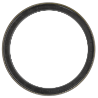 AGCO Seal, Final Drive 3429790M2 Parts - True Ag & Turf