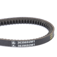 AGCO V-Belt 3639692M1 Parts - True Ag & Turf