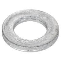 AGCO FLAT WASHER Z11538 Parts - True Ag & Turf