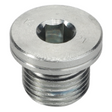 AGCO HEX SOCKET HEAD PLUG 3010869X91 Parts - True Ag & Turf