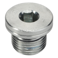 AGCO HEX SOCKET HEAD PLUG 3010869X91 Parts - True Ag & Turf
