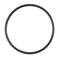 AGCO O-RING CH030-4606 Parts - True Ag & Turf