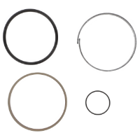 AGCO Seal Kit, Hydraulic Lift Cylinder 72609465 Parts - True Ag & Turf