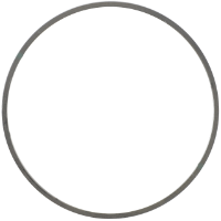 AGCO COMPENSATING RING 72324374 Parts - True Ag & Turf
