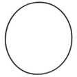 AGCO O-RING AG057210 Parts - True Ag & Turf