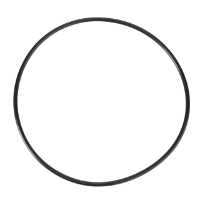 AGCO O-Ring 72454169 Parts - True Ag & Turf