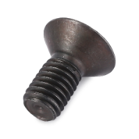 AGCO SCREW VA020493 Parts - True Ag & Turf