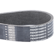 AGCO Serpentine Belt 72438021 Parts - True Ag & Turf