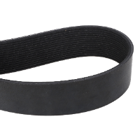 AGCO Rear Beater Drive Belt 240447M3 Parts - True Ag & Turf