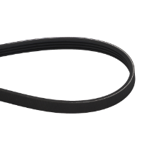 AGCO MULTI-RIBBED BELT V685041132 Parts - True Ag & Turf