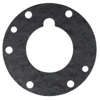 AGCO GASKET 74387051 Parts - True Ag & Turf
