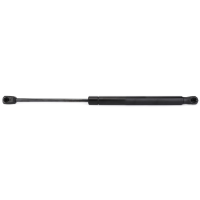 AGCO Gas Strut, Door 72440412 Parts - True Ag & Turf