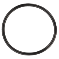AGCO O-Ring 3702473M1 Parts - True Ag & Turf