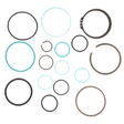 AGCO Seal Kit, Hydraulic Cylinder 72435221 Parts - True Ag & Turf