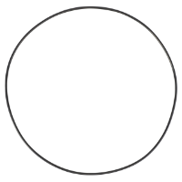 AGCO O-RING 70926708 Parts - True Ag & Turf