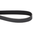 AGCO BELT AG051599 Parts - True Ag & Turf