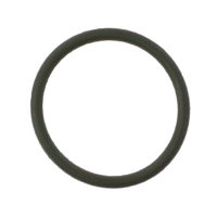 AGCO O-RING 402527X1 Parts - True Ag & Turf