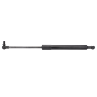 AGCO Gas Strut, Door V31517920 Parts - True Ag & Turf