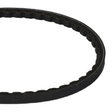 AGCO BELT 71170678V Parts - True Ag & Turf
