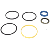 AGCO SEAL KIT 1081876M91 Parts - True Ag & Turf
