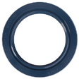 AGCO Radial Seal Ring 3714398M1 Parts - True Ag & Turf