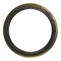 AGCO GASKET AL5013855 Parts - True Ag & Turf