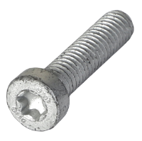 AGCO TORX HEAD BOLT 3010372X1  - True Ag & Turf