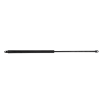 AGCO GAS STRUT D45056700 Parts - True Ag & Turf