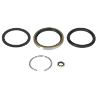 AGCO SEALS KIT 1078047M91 Parts - True Ag & Turf