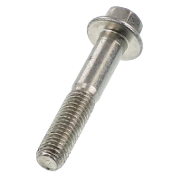 AGCO SCREW 3641336M1 Parts - True Ag & Turf