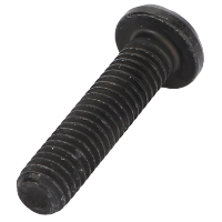 AGCO SCREW 72622593 Parts - True Ag & Turf