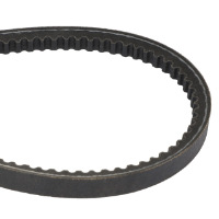 AGCO BELT 6258695M1 Parts - True Ag & Turf