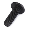 AGCO Pan Head Screw 3010910X1 Parts - True Ag & Turf