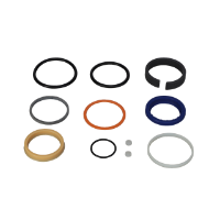 AGCO SEAL KIT 572719D1 Parts - True Ag & Turf