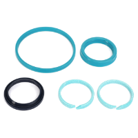 AGCO SEAL KIT 72486769 Parts - True Ag & Turf