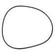 AGCO O-RING 3009751X1 Parts - True Ag & Turf