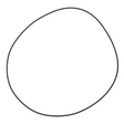 AGCO O-RING ACP0376490 Parts - True Ag & Turf