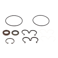 AGCO SEAL KIT 700732938 Parts - True Ag & Turf
