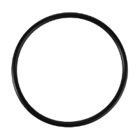 AGCO O-RING 72093982 Parts - True Ag & Turf