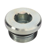 AGCO PLUG 3011107X91 Parts - True Ag & Turf