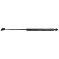 AGCO Gas Strut, Door/Window 3904695M1 Parts - True Ag & Turf
