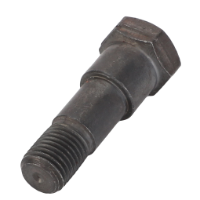 AGCO SCREW 3902669M1 Parts - True Ag & Turf