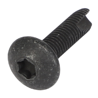 AGCO TORX HEAD SCREW CH3E-8020