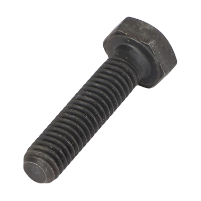 AGCO SCREW 72436848 Parts - True Ag & Turf