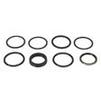 AGCO Seal Kit 71516560 Parts - True Ag & Turf