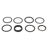 AGCO Seal Kit 71516560 Parts - True Ag & Turf