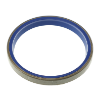 AGCO GASKET 5016069M1 Parts - True Ag & Turf
