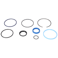 AGCO SEALS KIT 700719999 Parts - True Ag & Turf