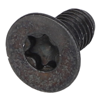 AGCO SCREW 72617317 Parts - True Ag & Turf