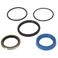 AGCO SEAL KIT 71515526 Parts - True Ag & Turf